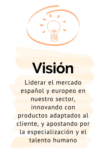 Vision